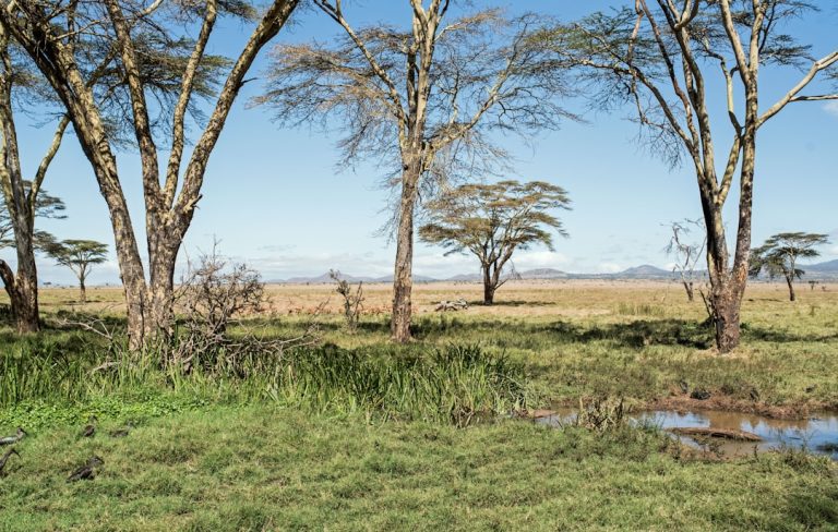 Nature’s Playground: Embracing the Great Outdoors for Wellness and Adventure