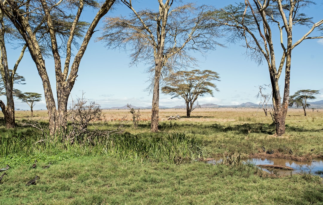 Nature’s Playground: Embracing the Great Outdoors for Wellness and Adventure